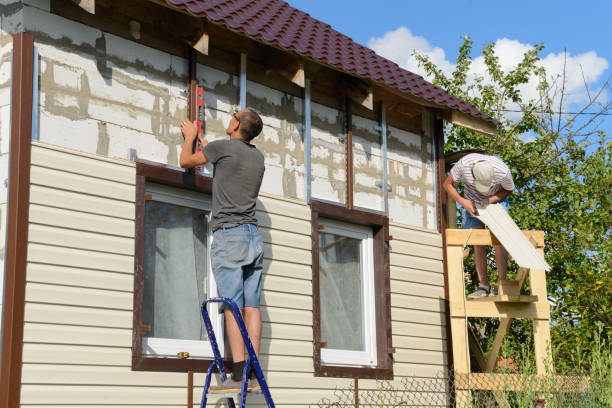 Best Steel Siding Installation  in Aho Falls, ID